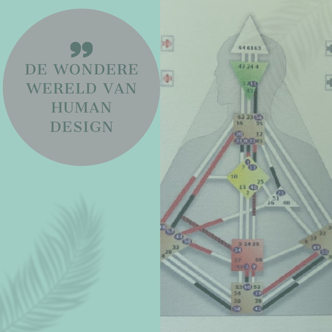 De wondere wereld van Human Design